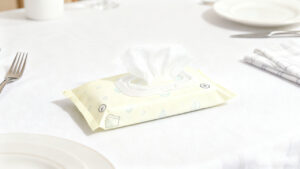 What Are the Key Factors When Choosing a Disposable Wet Wipes Supplier?